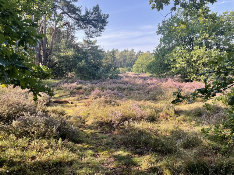 De Zonnige Jubileumeditie: Terugblik op de Veluwe Fiets 4-daagse Otterlo 2023